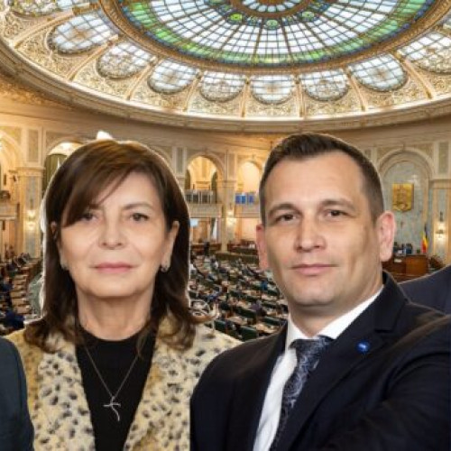 Senatori din Bacău pentru legislatura 2024-2028