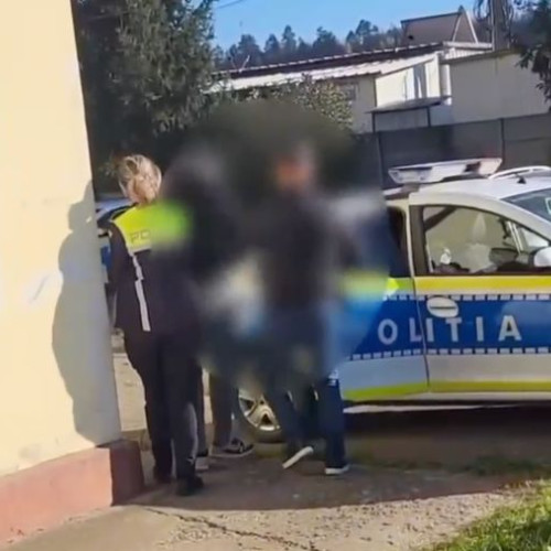 Tânăr reținut pentru furturi în comuna Damianesti