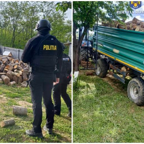 Percheziții la Buhusi pentru furturi de material lemnos