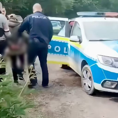 Tânăr din Beresti-Tazlau reținut pentru mutilarea câinilor