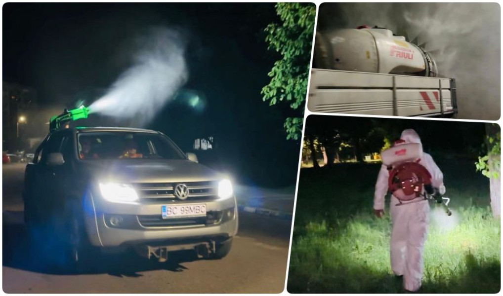 Dezinsecția în Bacău va fi mai costisitoare în acest an